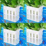 Upgraded Aquarium Plant Holder with Hooks and Suction Cups for Fish Tank Aquaponic Plants Cultivation and Aquascape Decorations (White)