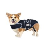 Dog Back Brace Arthritis, Adjustable ivdd pet Support and Rehab Harness for Spinal Injury, Soft Hip Leg Support Helps Pain Relief, Spinal Surgical Recovery and Rehabilitation (Medium)