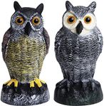 Galashield Owl Decoy to Scare Birds Away | Plastic Owls to Scare Birds Away | Owl Statue for Garden & Outdoors by Galashield [Set of 2]