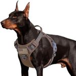 BUMBIN Tactical Dog Harness for Lar