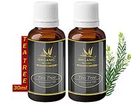 ORGANIC NILGIRIS - Live with Radiant Heath Tea Tree Essential Oil: Pure Natural Essence for Refreshing Aromatherapy, Dandruff & Hair Scalp Care, Skin Nourishment, and Diffuser Bliss-30ml