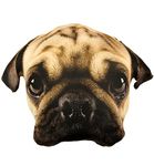 Splat Planet Plush 3D Pillow Cushion, Giant Realistic Plush Stuffed Toy Funny Kids, Decorative Unique Floor Cushion, Animal Themed Cushion, Seat Cushions For Bedroom Chairs, Playroom (Pug Cushion)