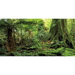 AWERT 36x18 inches Forest Terrarium Background Stone Green Huge Tree Reptile Habitat Background Tropical Rainforest Aquarium Background Durable Polyester Background