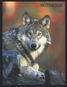 WOLF Notebook: Lined, Soft Cover, Letter Size 240 pages (8.5 x 11) Notebook: Large Composition Book, Journal