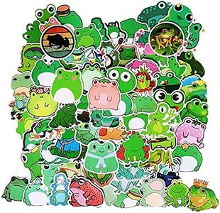 100PCS Fro