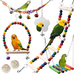 Bird Toys 