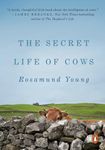 The Secret Life of Cows