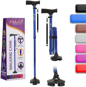 Allay Walk
