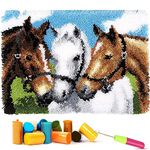 EMISTEM Latch Hook Kits for Adults - DIY Latch Hook Rug Kits for Kids, Crochet Kit for Beginners, Rug Making Kits with Printed Canvas, Gift Packaging. (Three Horses,15x21")