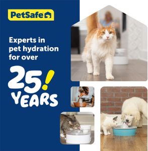 PetSafe Outlast Pumpless Water Fountain, 1.7L – Small Dog & Cat, Dishwasher Safe