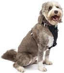 Kurgo K01258 Dog Harness | Car Harn