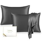 Texbee Silk Pillow Cases 2 Pack Silk Pillowcase for Hair and Skin Standard Size 20"x26" 22momme, Both Sides Grade 6A Silk with Hidden Zipper(Space Grey)