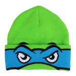 Teenage Mutant Ninja Turtles Leonardo Rolldown Beanie