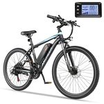 48v Electric Bike