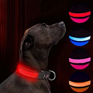 Collier de Chien LED Light Up Collier de Chien Rechargeable USB étanche, Bande de Chien de Nuit avec 3 Modes Lumineux, Rend Votre Chien Visible, sûr et vu (Red, S)