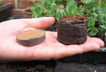 Starter coir pellets x100