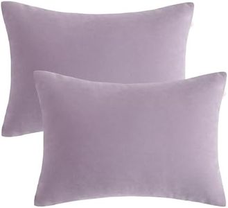 BEDSUM 2 Pack Pillows, 13"x18" Microfiber Pillows for Travel, Pets, Soft and Machine Washable Small Pillows for Neck, Wrist, and Knee Comfort, Lavender