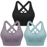 Leversic Women's Workout Bra Mid Impact Wirefree Removable Padding Sports Bra Cross Back Yoga Bra for Gym Fitness Running Jogging(Black+Purple+Blue,XL)