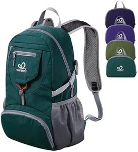 WATERFLY Small Lightweight Packable Backpack: 20l Ultra Light Foldable Travel Hiking Camping Daypack Day Pack for Man Woman