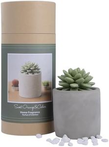 Pretty Valley Home Succulent Gypsum Ceramic Fragrance Diffuser Vase Set Sweet Orange Cedar 100ml, Home Reed Diffuser for Bathroom Office Bathroom Living Room Decor