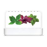 Grow Smart Greens Click & Grow Smart Garden 9 with Pesto Mix