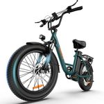 URLIFE 20"*3" Electric Bike for Adults, Fat Tire Mountain Bike E20 with Colorful LCD Display, 48V 13AH Removable Battery, 7-Speed Derailleur 80-100KM Max Range Ebike Commute MTB GREEN