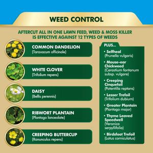 Aftercut All In One Lawn Feed, Weed & Moss Killer – 2.56kg, 80m² Spreader