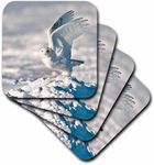 3dRose Coasters, Multi-Colour, set-of-4-Soft