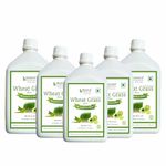 Bhumija Lifesciences Natural Wheatgrass Juice with Aloevera and Amla Extracts, 1 Litre (Pack of 5) | Herbal Juice Sugar-Free | Promotes Digestion, Healthy and Glowing Skin, Weight Management