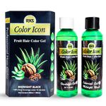 RKS Premium Color Icon Fruit Vinegar Hair Colour Gel For Men & Women | 100% Made In India Colour Gel | 100% Grey Coverage Under 10 Minutes | Organic & Natural Hair Colour For Black Hair - 500mlx2
