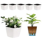 T4U 4 Inch Self Watering Plastic Planter with Liner Pack of 6 - Matte White, Modern Decorative Small Planter Pot for House Plants, Aloe, Herbs, African Violets, Succulents and More