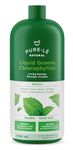 Pure-lē Natural Liquid Greens Chlorophyll Mint 1000ml - Balance pH, Energize, Detox and Cleanse without calories! Ultra Premium Dietary Supplement - No Fillers or Binders, No Artificial Ingredients