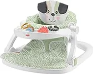 Fisher-Price Baby Portable Baby Cha