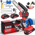 6 Inch Mini Chainsaw Cordless, 24V 