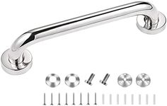 Stainless Steel Shower Grab Bar,16 