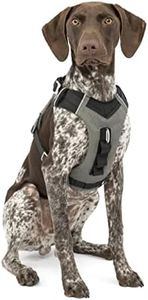 Kurgo Journey Air Dog Harness, Black/Grey, Medium