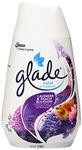 Glade Solid Air Freshener Lavender & Peach Blossom 6 Oz (170 g)