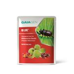 Gaiagen RB Lure® - Pheromone Lure for Rhinoceros Beetle (Oryctes Rhinoceros), Pack of 10 (Does Not Include Traps)