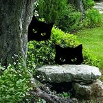 COAOD 2 Pcs Metal Black Cat Garden Decorations Outdoor, Metal Cat Garden Statues, Peeping Animal Metal Art for Garden Courtyard Yard Lawn Decor