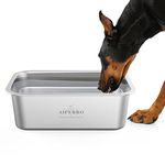 Big Dog Water Bowl