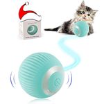 Cat Ball Toy