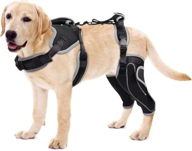 LISPOO Dog Knee Brace for Torn ACL/CCL Hind Leg,Adjustable Support with Sufficient Wrapping and Support & Luxating Patella,Non-Slip Joint Brace,Pain Relief&Better Recovery-Both Leg-Upgraded/XL
