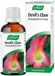 A.Vogel Devil's Claw Harpagophyum Drops (100ml)