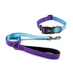 Puppy Collars And Leads