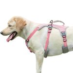 Paworld No Escape Dog Harness, Escape Proof Harness, Fully Reflective Harness with Padded Handle, Breathable,Durable, Adjustable Vest for Medium Dogs Walking, Training, and Running Gear (Pink, XL)