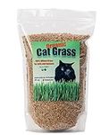 DesertUSA Cat Grass Seeds, Organic 