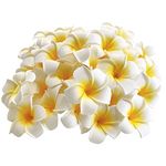 Goodangie00 50Pcs 2.4Inch Artificial White Foam Plumeria Rubra Hawaii Frangipani Beach Flower Petals for Hair Hat Wreath DIY Home Wedding Party Decoration