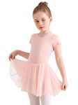 Eisnnu Girls Ballet Dance Dress Classic Cotton Short Sleeve Leotard with Chiffon Skirt Ballerina Outfit for Girls Kids Pink