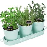PERFNIQUE Herb Garden Planter, Farmhouse Plant Pots, Windowsill Herb Garden Kit with Tray, Window Pots for Indoor/Outdoor Plants (Mint)