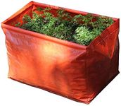 Haxnicks 2 x Garden Carrot Planter 